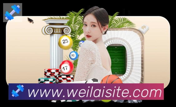 未来规划